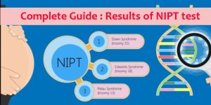 results of nipt test