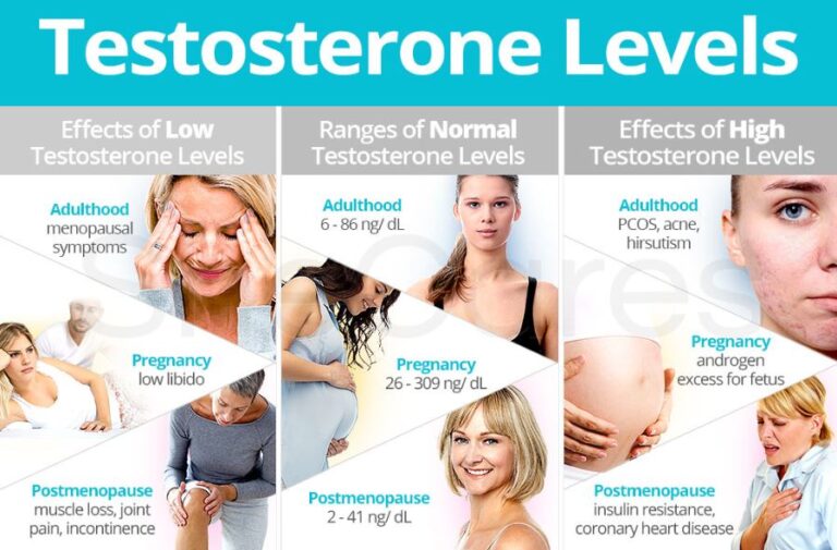 Normal Testosterone levels in Women