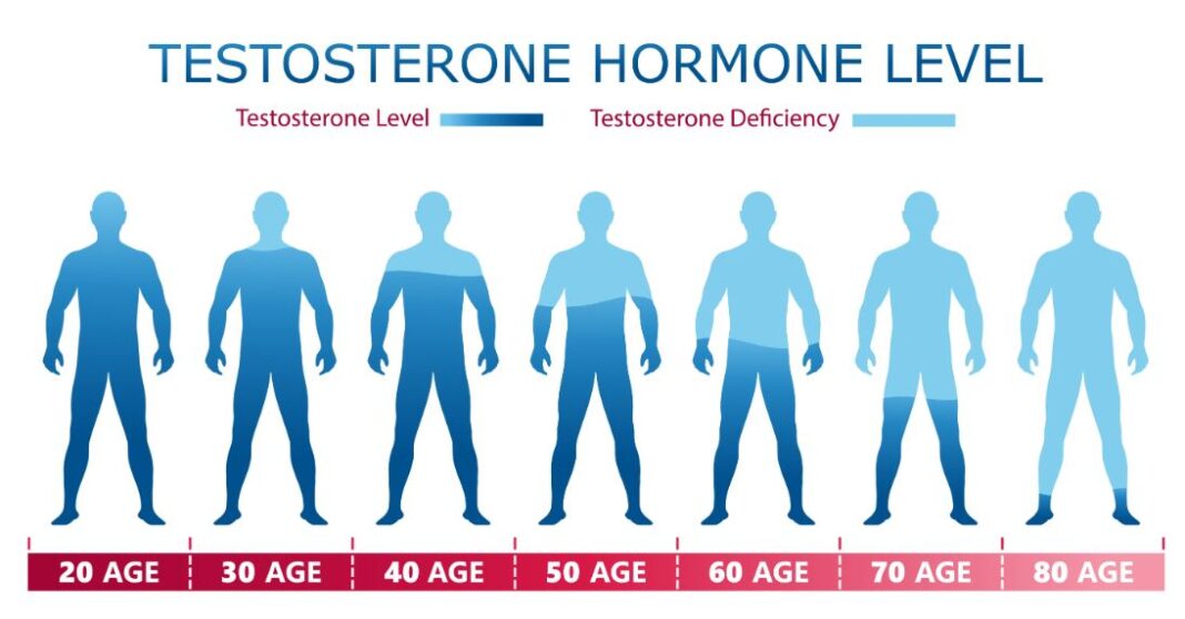 What Is Normal Testosterone Levels In Women?