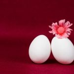 Poor Egg Quality and Its Influence on IVF Success