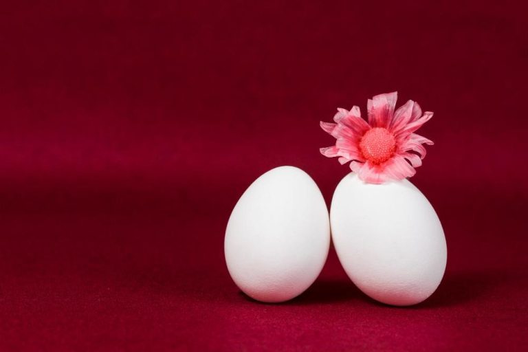 Poor Egg Quality and Its Influence on IVF Success