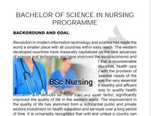 Bsc Nursing Syllabus in Nepal -Updated